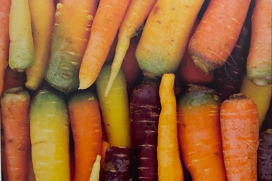 Noi sosteniamo la Biodiversità pugliese: la carota di Polignano